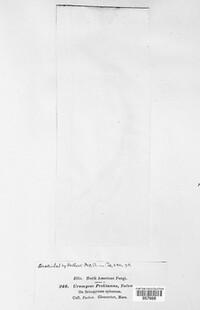 Image Associated With the Occurence